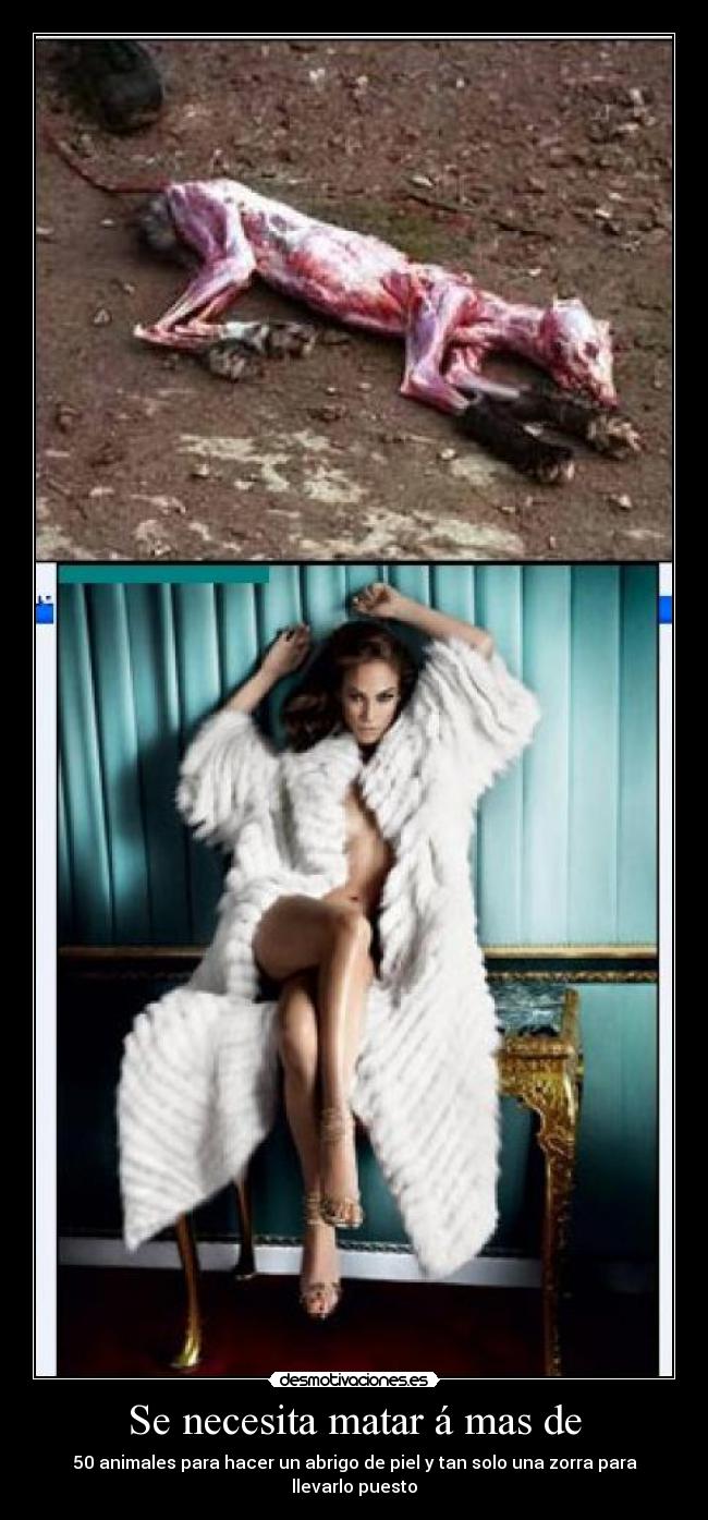 carteles que rabia desmotivaciones