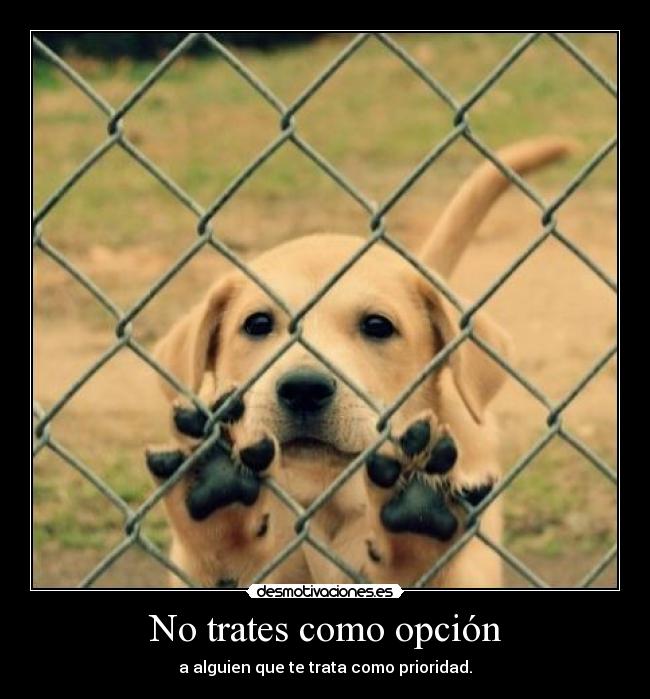 No trates como opción - a alguien que te trata como prioridad.