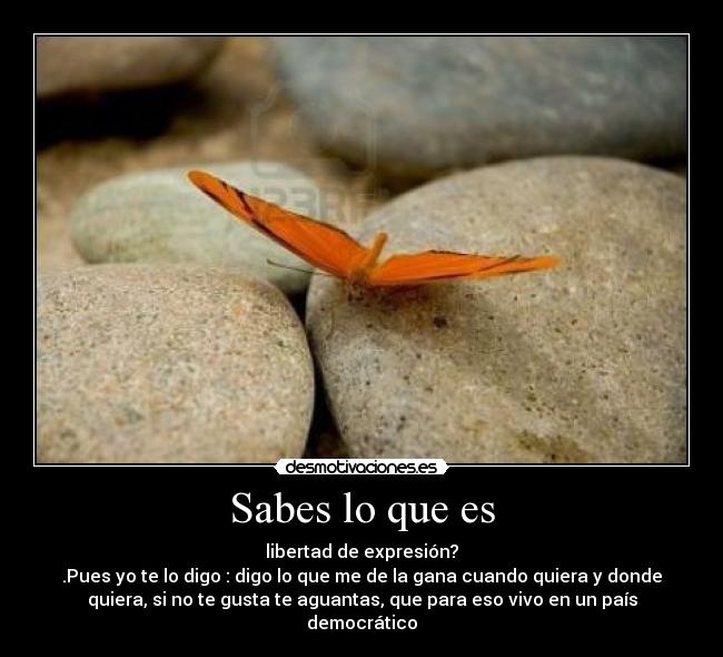 Sabes lo que es - libertad de expresión?
.Pues yo te lo digo : digo lo que me de la gana cuando quiera y donde
quiera, si no te gusta te aguantas, que para eso vivo en un país
democrático