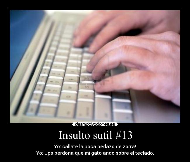 Insulto sutil #13 -