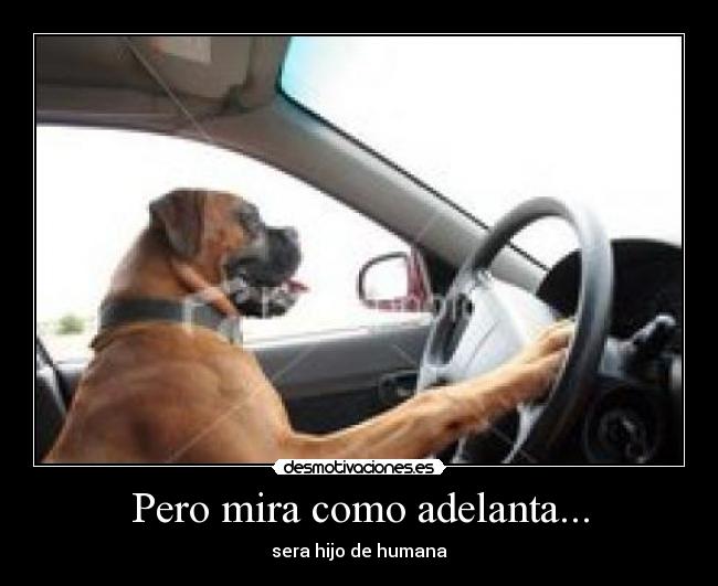 Pero mira como adelanta... - sera hijo de humana