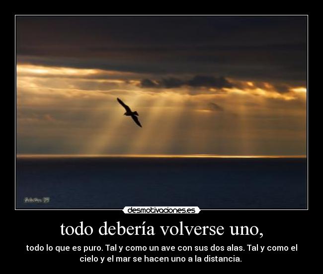 todo debería volverse uno, - todo lo que es puro. Tal y como un ave con sus dos alas. Tal y como el
cielo y el mar se hacen uno a la distancia. 