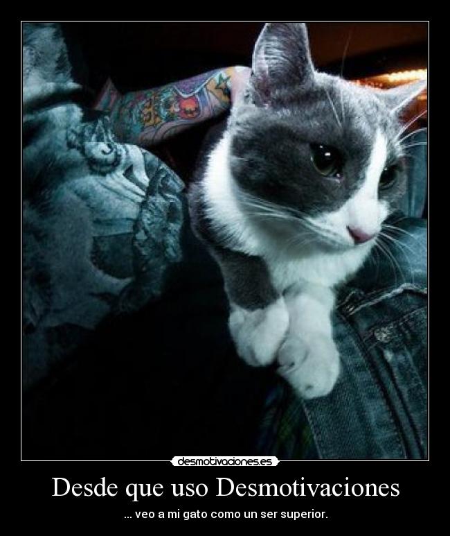 Desde que uso Desmotivaciones - 