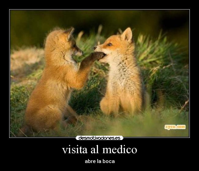 visita al medico - 