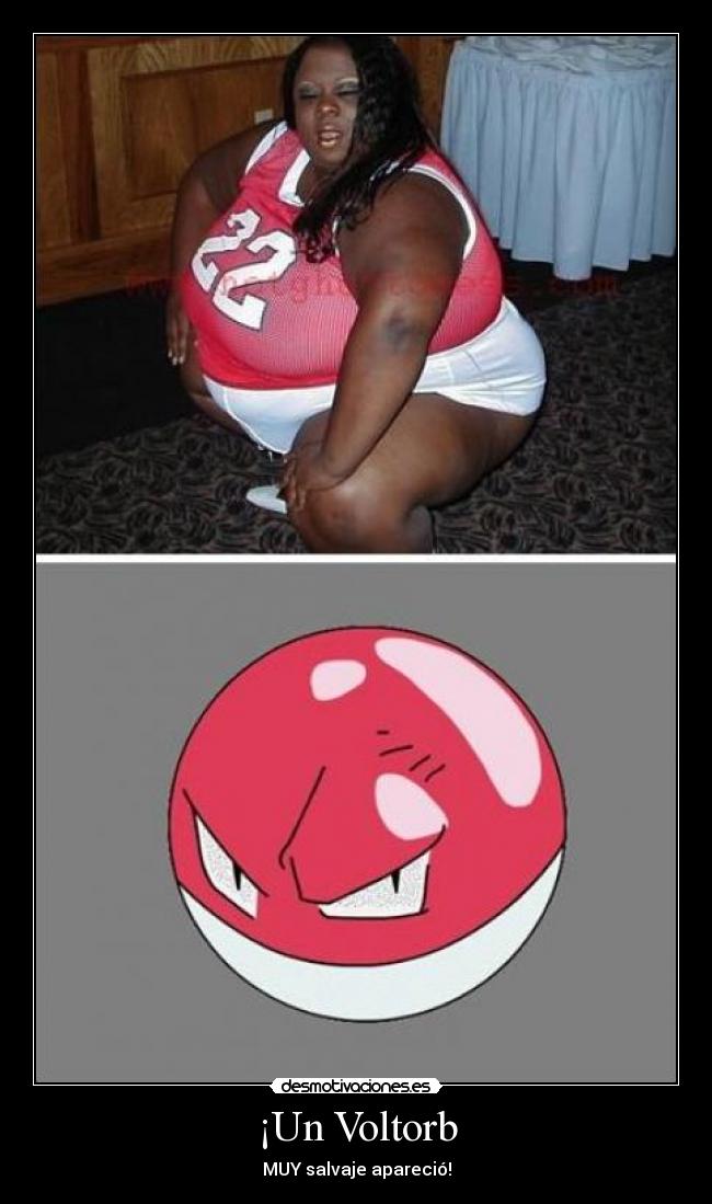 ¡Un Voltorb - 