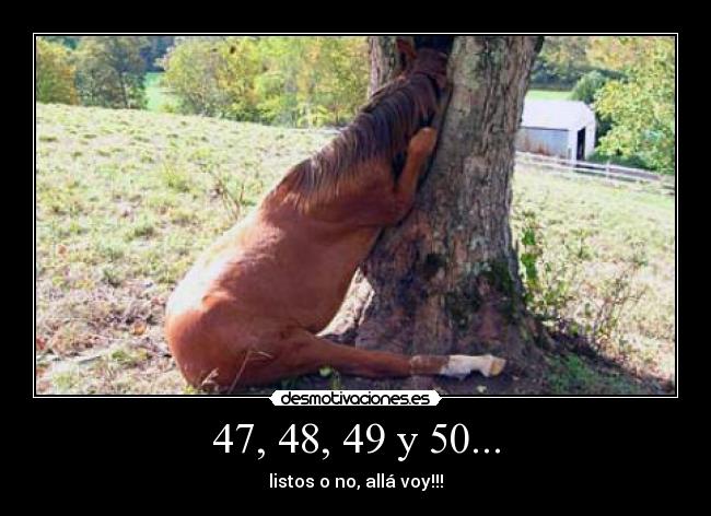 47, 48, 49 y 50... - 
