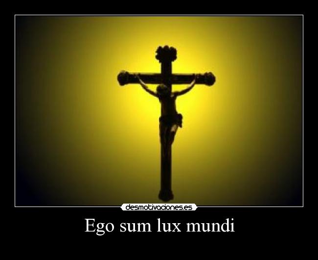 carteles cosas vida desmotivaciones