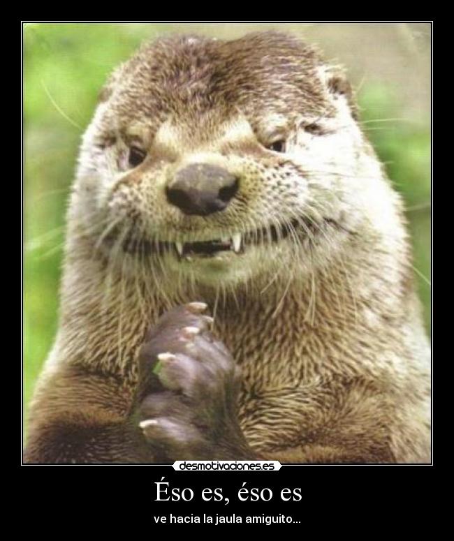 Éso es, éso es - ve hacia la jaula amiguito...