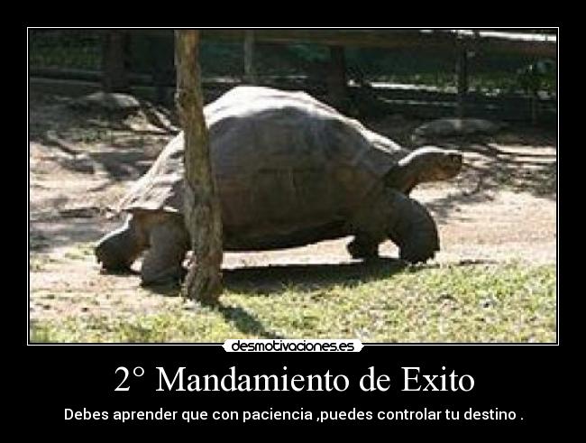 2° Mandamiento de Exito - 