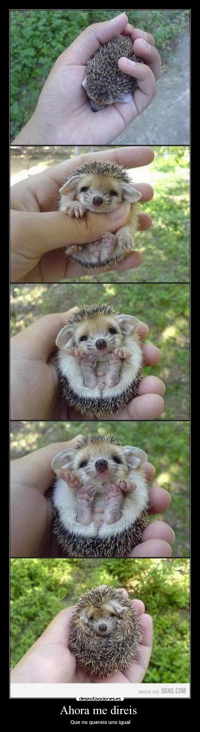 Ahora me direis - Que no quereis uno igual