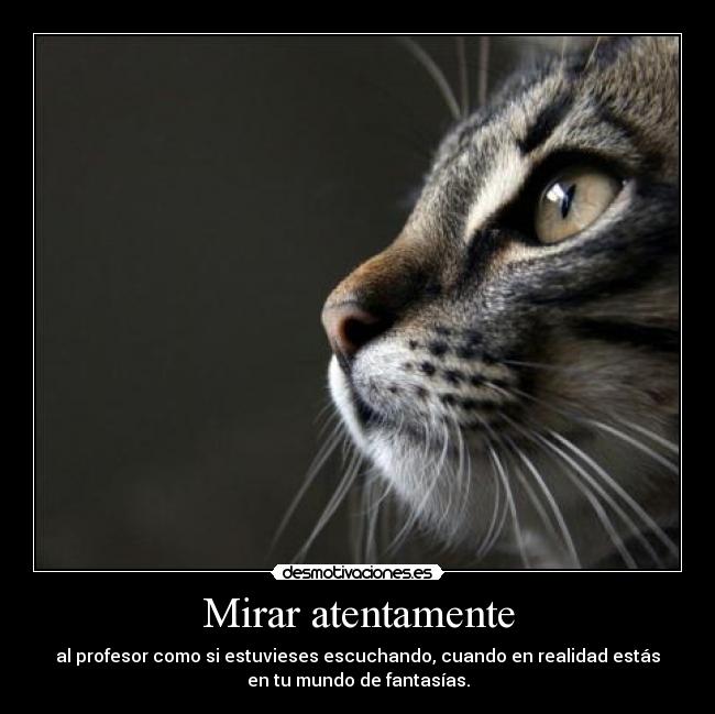 Mirar atentamente - al profesor como si estuvieses escuchando, cuando en realidad estás
en tu mundo de fantasías.