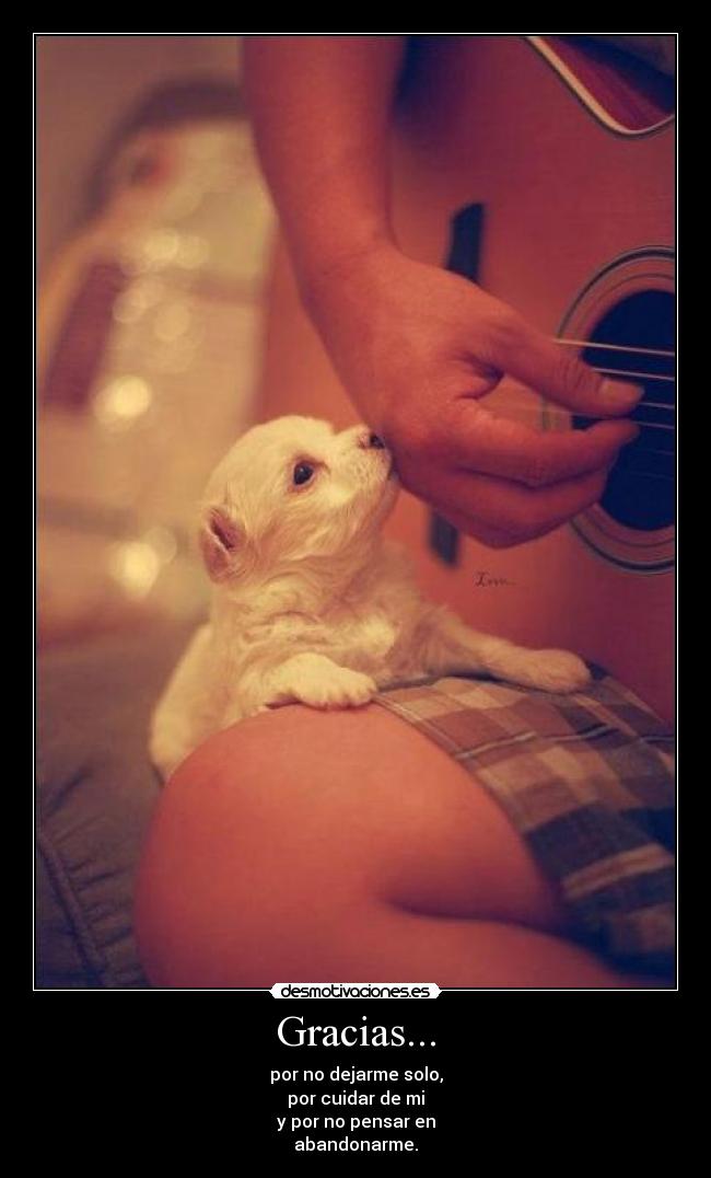 Gracias... - por no dejarme solo,
por cuidar de mi
y por no pensar en
abandonarme.