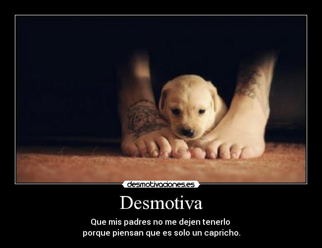 Desmotiva -
