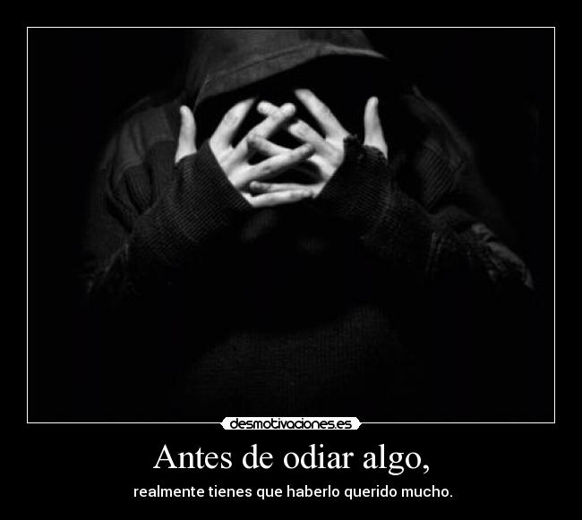 Antes de odiar algo, - realmente tienes que haberlo querido mucho.