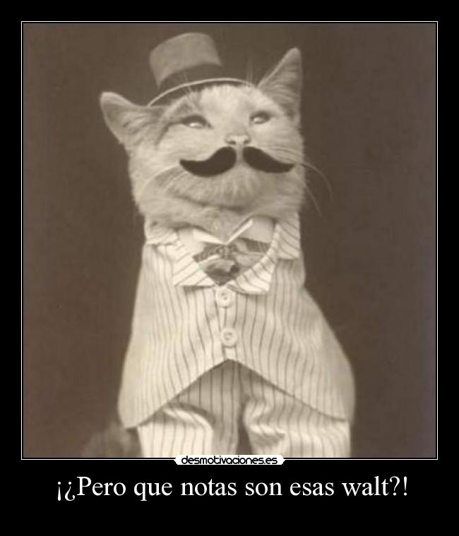 carteles mrscarface clanvirus desmotivaciones