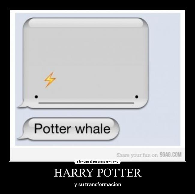HARRY POTTER -