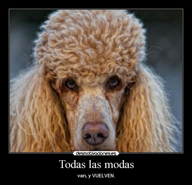 Todas las modas - van, y VUELVEN.