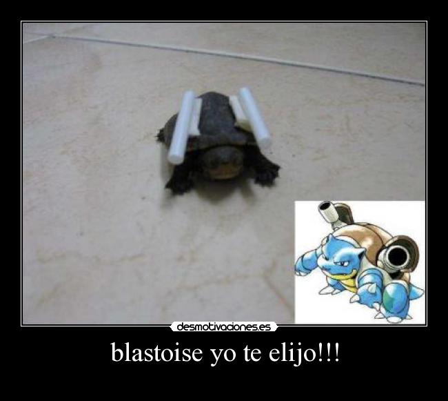 blastoise yo te elijo!!! -