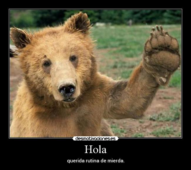 Hola - querida rutina de mierda.