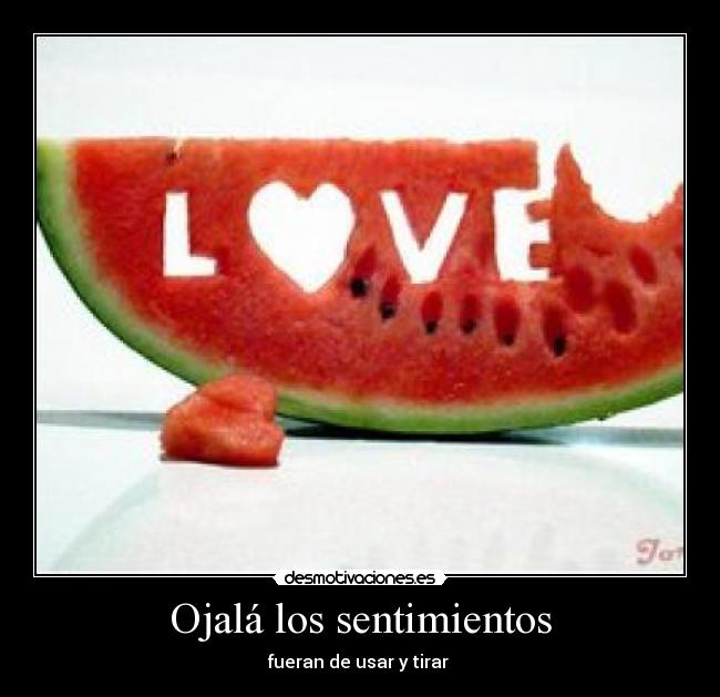 Ojalá los sentimientos - 