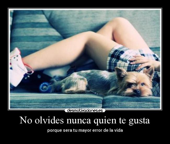 No olvides nunca quien te gusta -