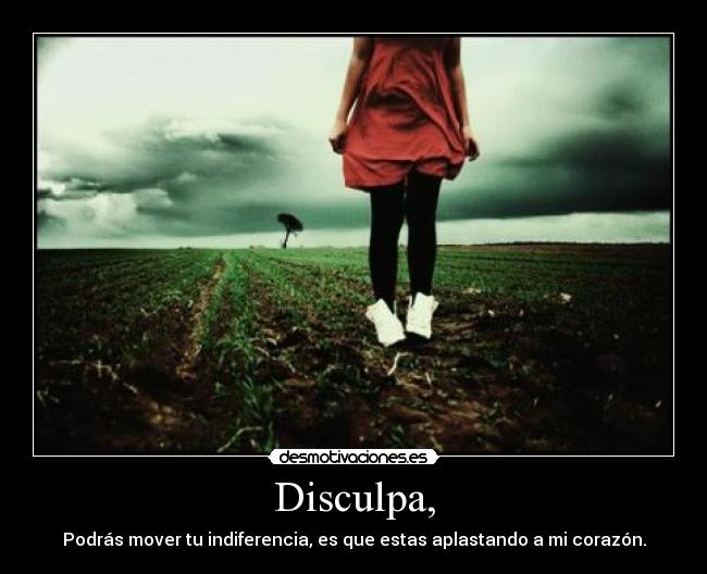 Disculpa, - 