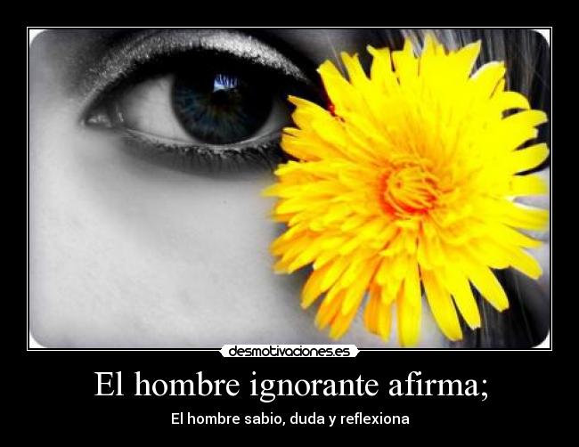 El hombre ignorante afirma; - El hombre sabio, duda y reflexiona