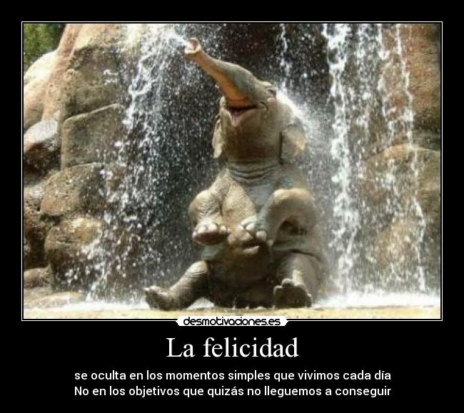 La felicidad -
