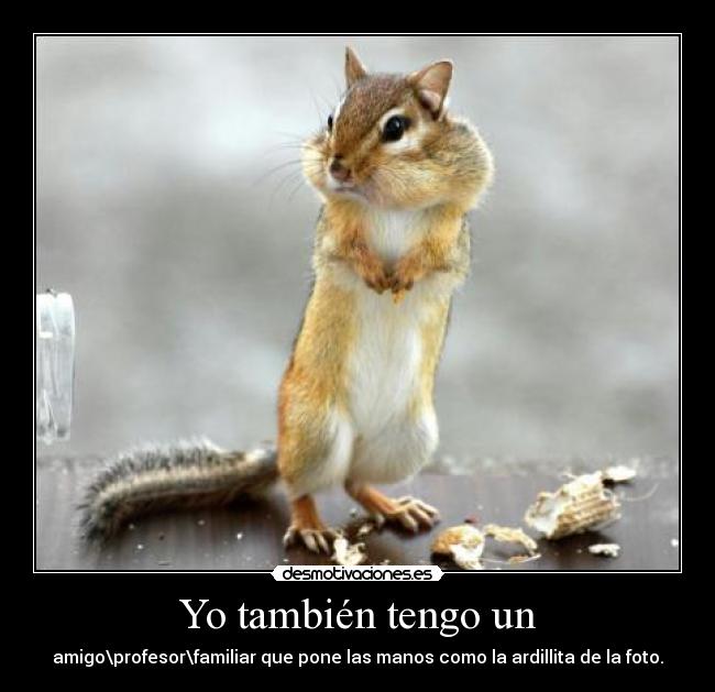 Yo también tengo un - amigo\profesor\familiar que pone las manos como la ardillita de la foto.