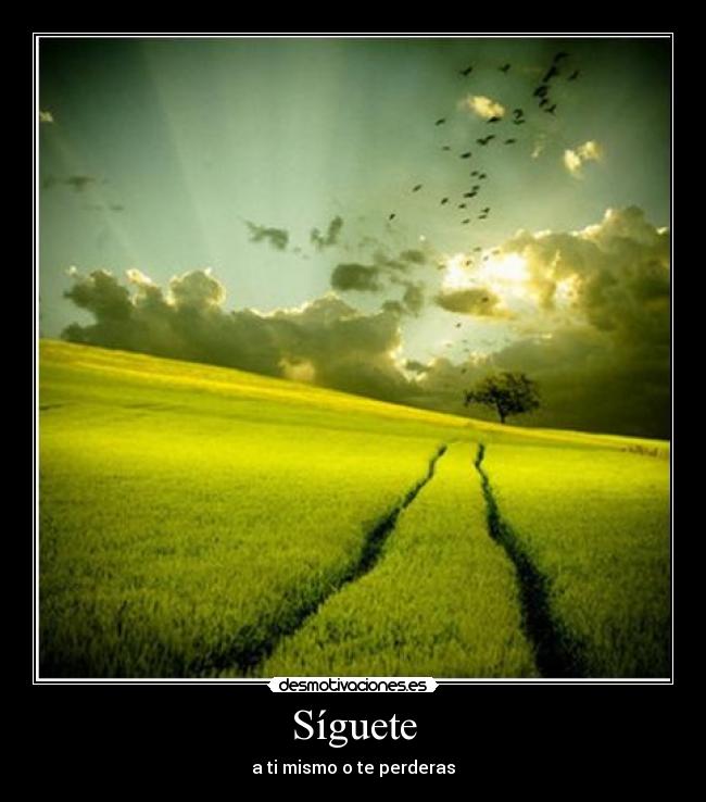 carteles seguir desmotivaciones