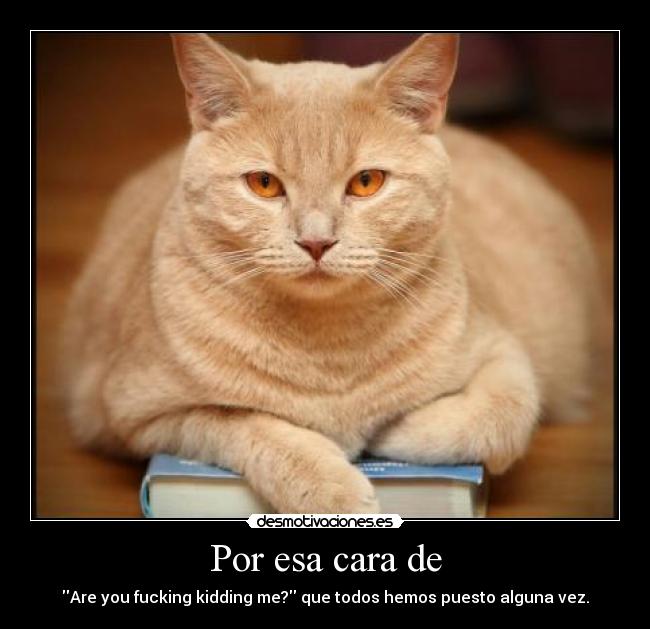 Por esa cara de - Are you fucking kidding me? que todos hemos puesto alguna vez.