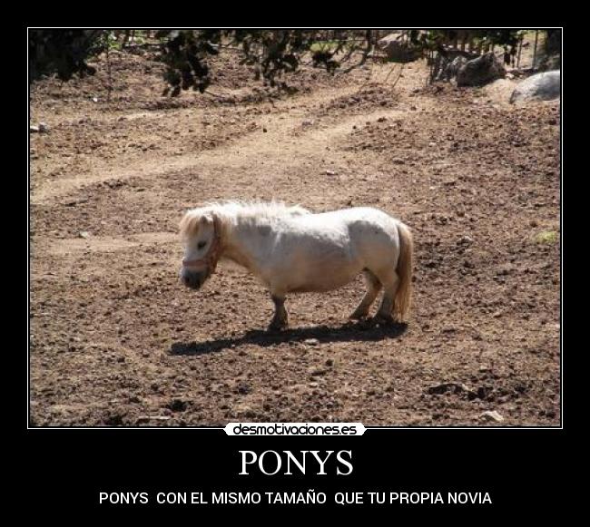 carteles pony desmotivaciones