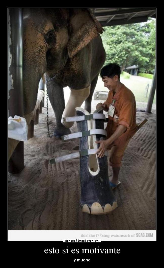 esto si es motivante - y mucho