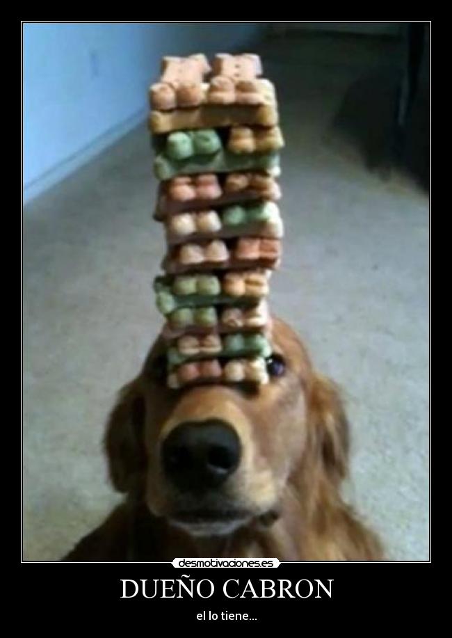 DUEÑO CABRON - el lo tiene...