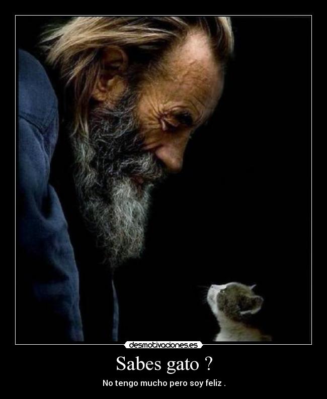 Sabes gato ? -