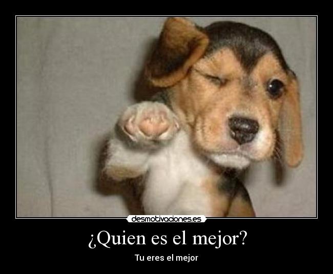¿Quien es el mejor? -