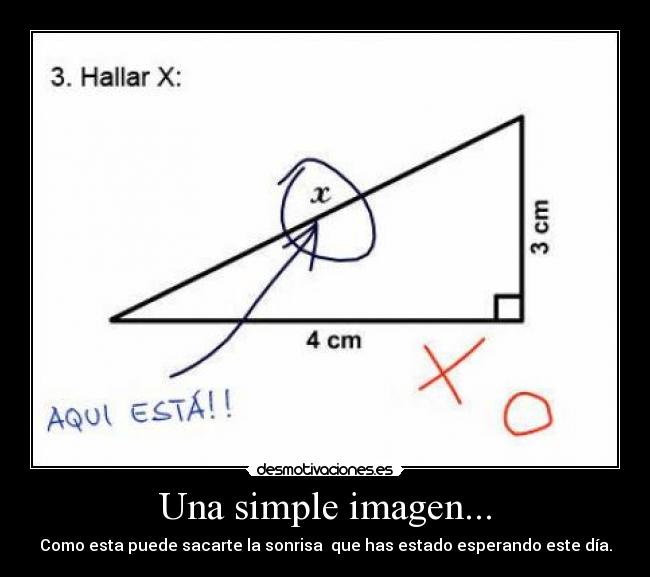 Una simple imagen... - Como esta puede sacarte la sonrisa que has estado esperando este día.