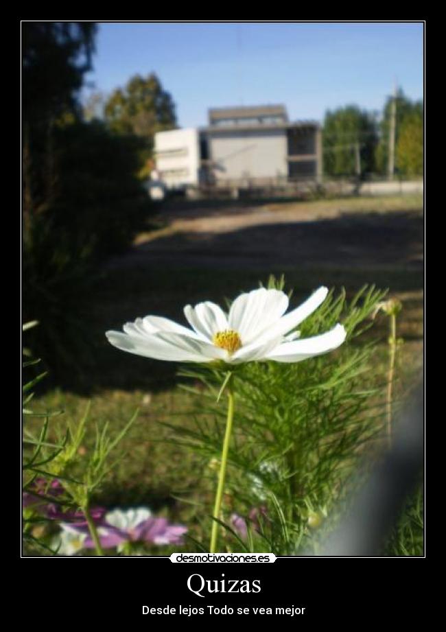 Quizas - Desde lejos Todo se vea mejor