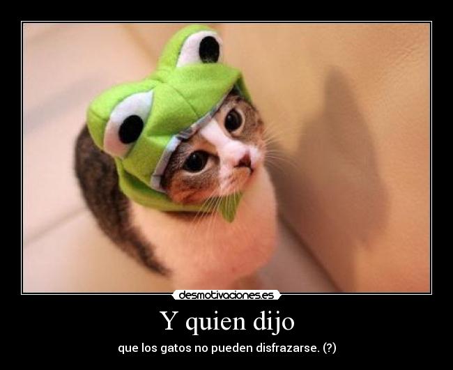 Y quien dijo - que los gatos no pueden disfrazarse. (?)