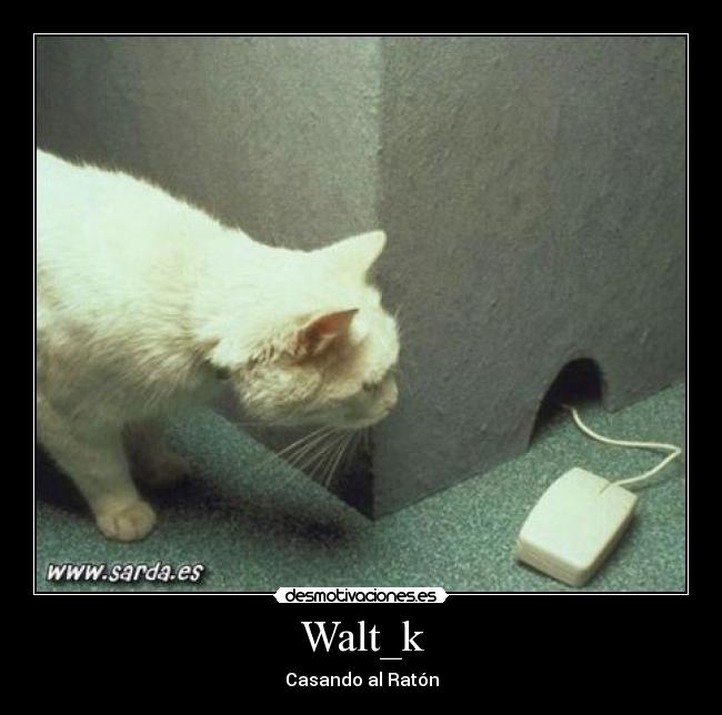 Walt_k -