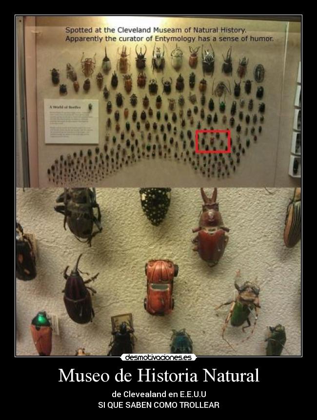 Museo de Historia Natural -