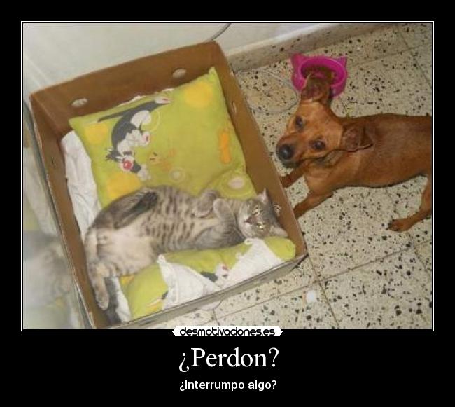 ¿Perdon? - ¿Interrumpo algo?