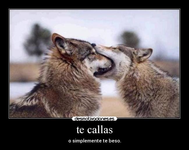 te callas - o simplemente te beso.
