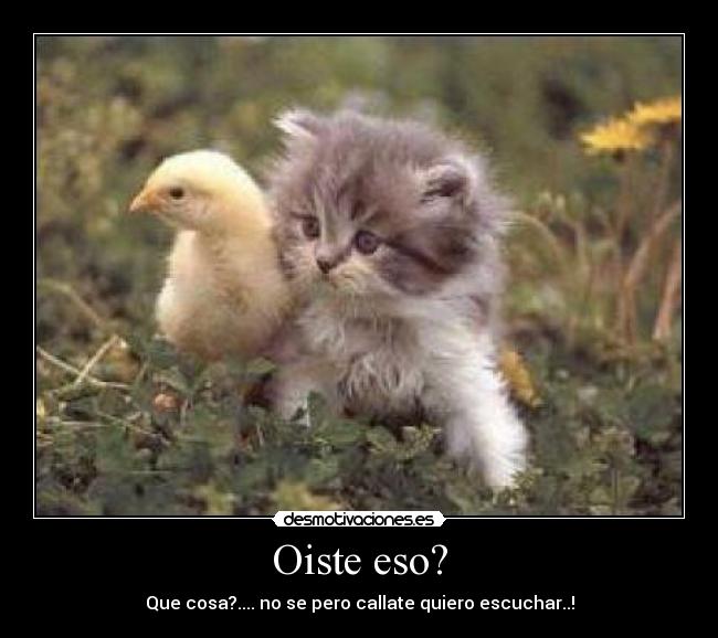 Oiste eso? -