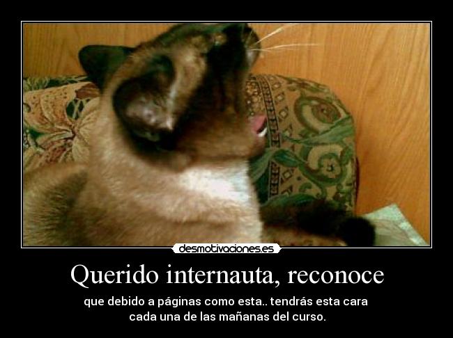 Querido internauta, reconoce - que debido a páginas como esta.. tendrás esta cara
cada una de las mañanas del curso.