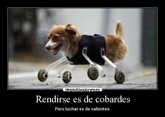 Rendirse es de cobardes - 