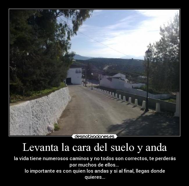 Levanta la cara del suelo y anda - la vida tiene numerosos caminos y no todos son correctos, te perderás
por muchos de ellos... 
lo importante es con quien los andas y si al final, llegas donde
quieres...