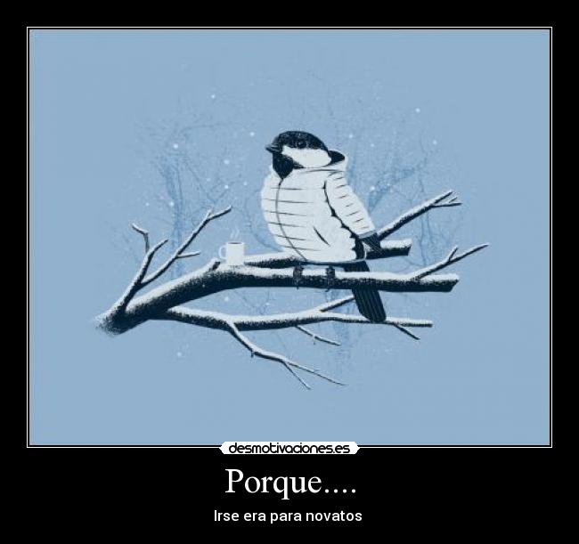 Porque.... - Irse era para novatos