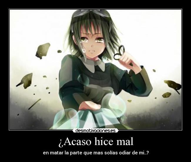 ¿Acaso hice mal - 