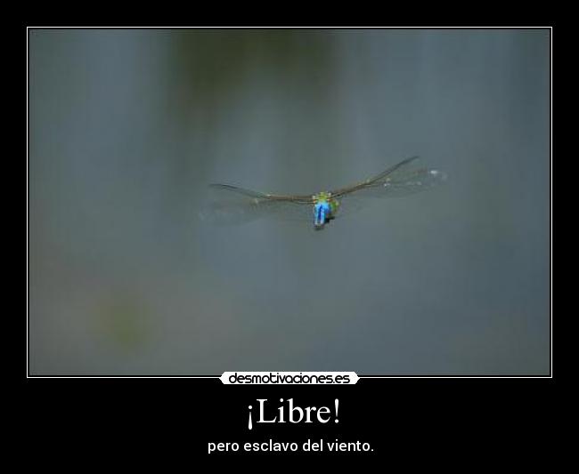 ¡Libre! -